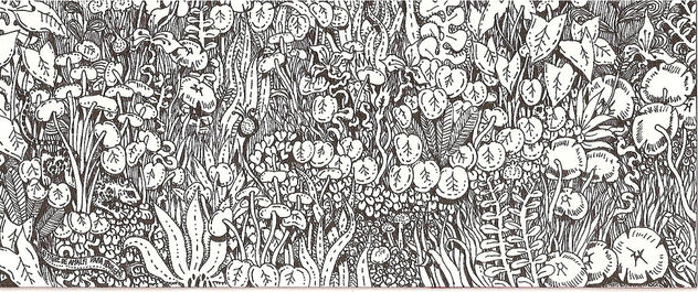 bestiario 2
