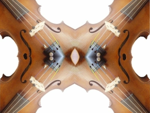Metamorfosis del violín II