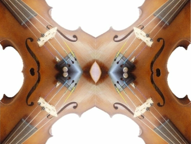 Metamorfosis del violín II 