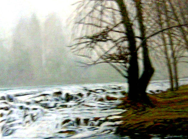 Rio Carrión 3 (Palencia)