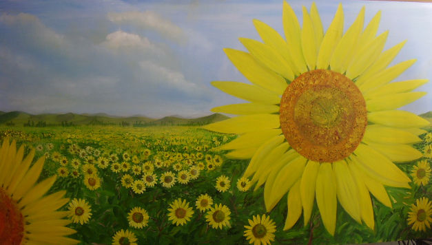 campo de girasol