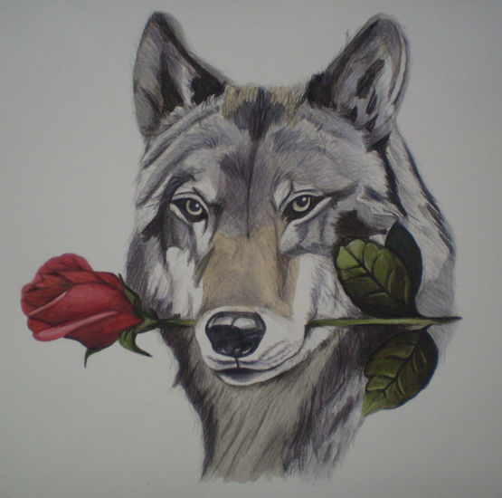 Lobo enamorado. 