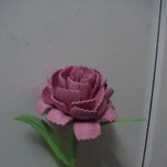 flores de fomy thumbnail 2