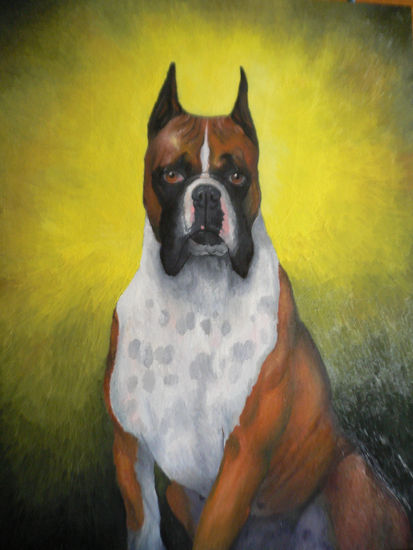 Perro Boxer Óleo Tabla Animales