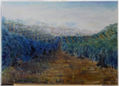 Olivares