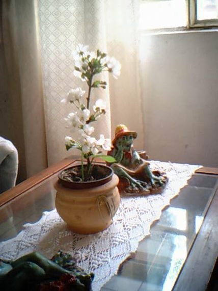 Flor y Figura