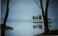 Reflejos