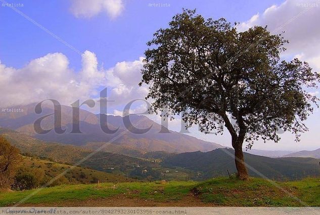 Hermoso paisaje de los entornos de Casares Other Themes Color (Digital)