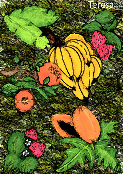 Frutas