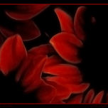 Abstración thumbnail 1