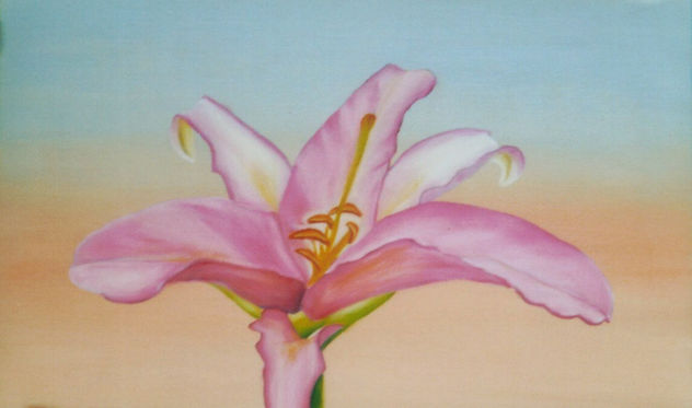 LILLIUM