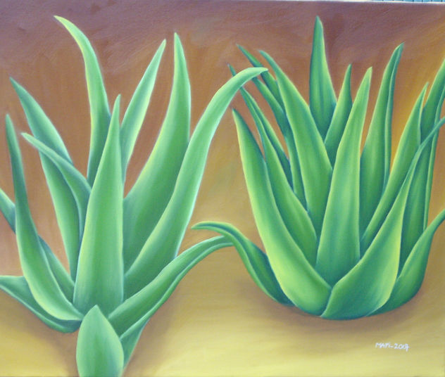 ALOE VERA