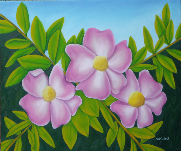 ROSA MOSQUETA