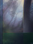 bosque 2