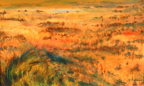 Paisaje