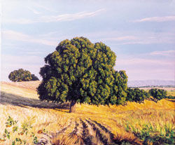 La encina Oil Canvas Landscaping