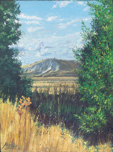 Barro Blanco Oil Canvas Landscaping