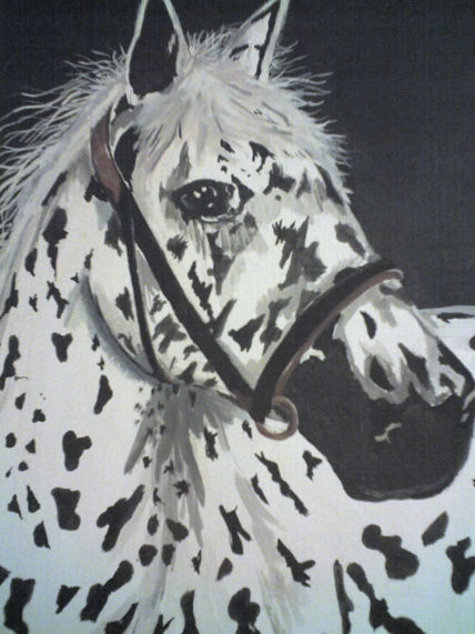 Caballo