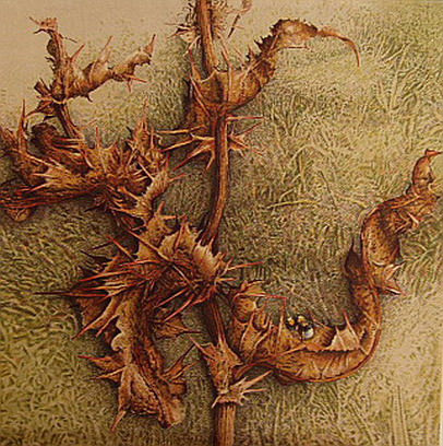 De la Terra (1982). 