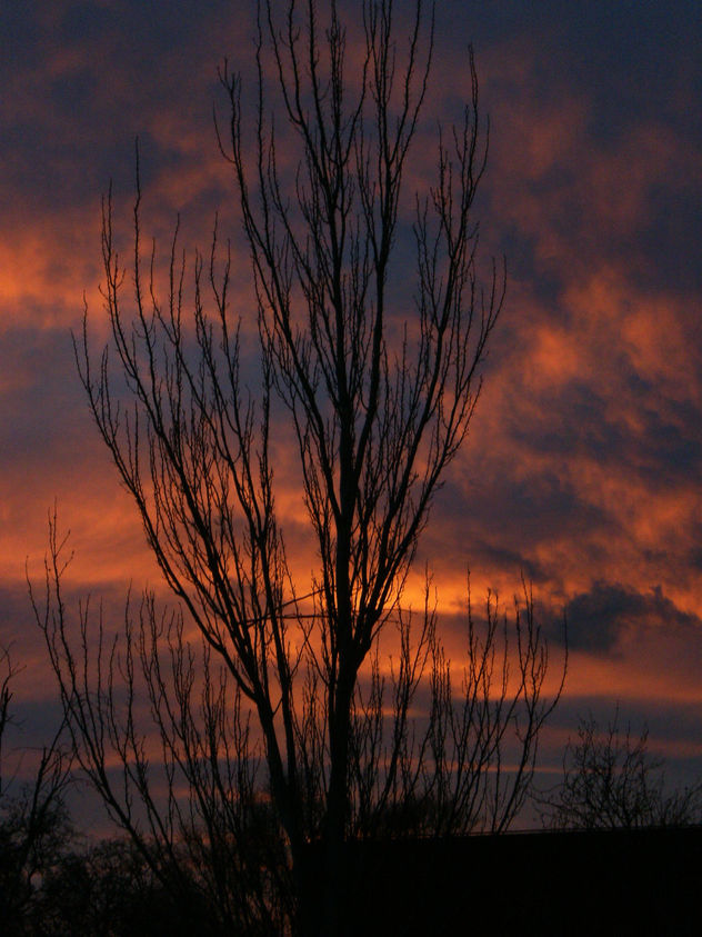 atardecer