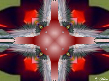 Untintled 21