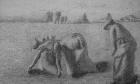 DiBuJoS