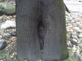 MADRE NATURALEZA
