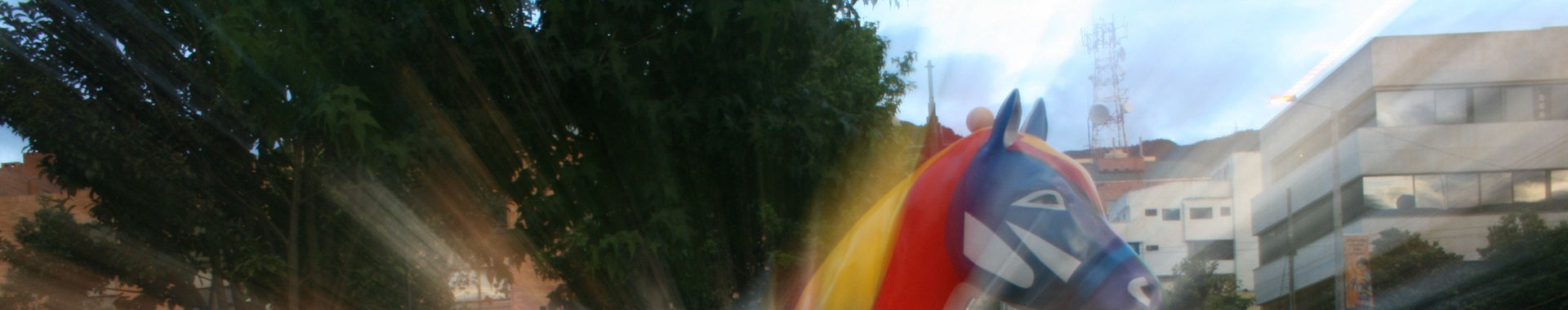 Imagen de portada