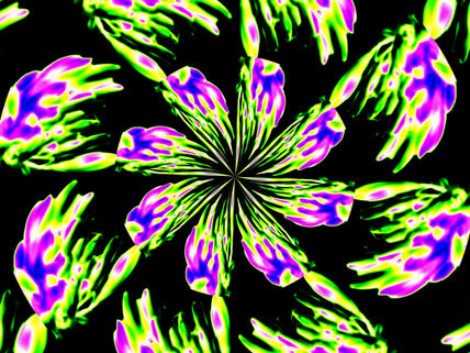 Flores pop noturnas