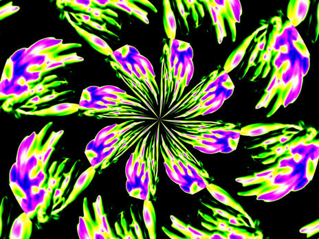 Flores pop noturnas