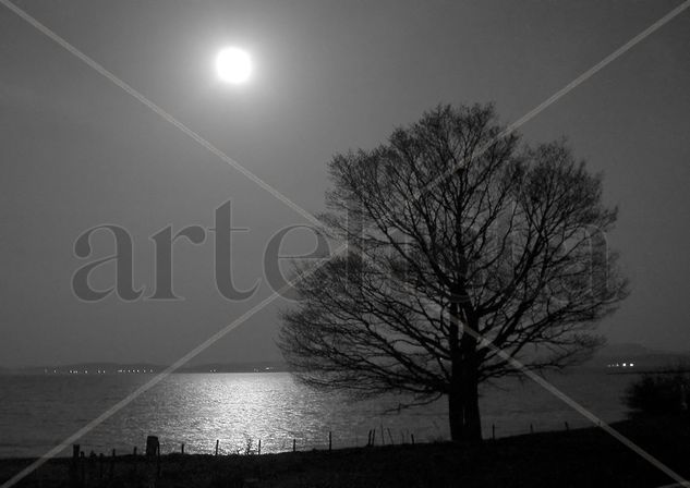 Noches de luna llena Otras temáticas Blanco y Negro (Digital)