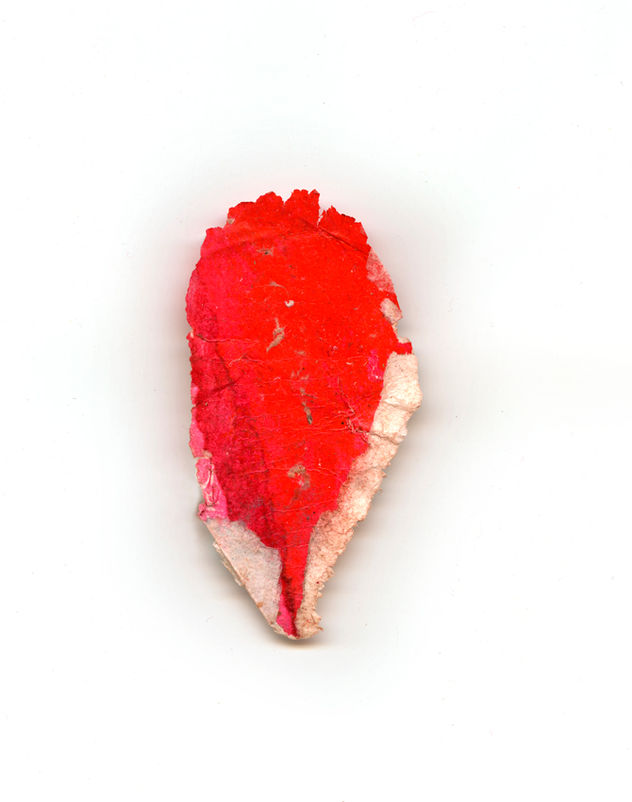 HOJA