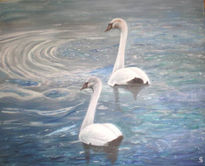 Cisnes