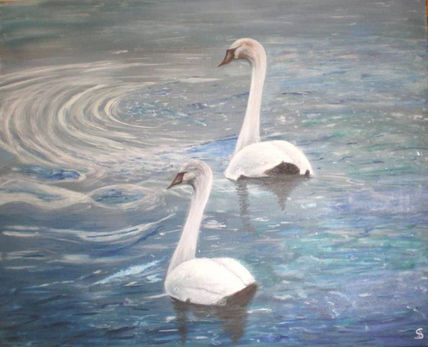 Cisnes