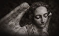 resguarda