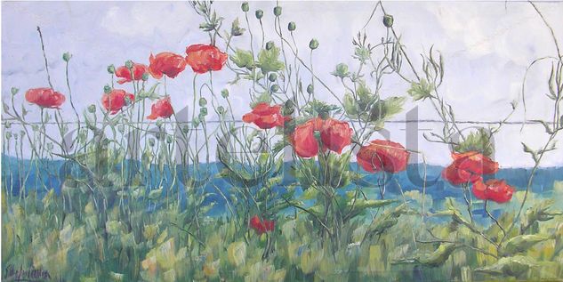 Amapolas Oil Canvas Floral Painting