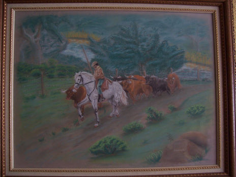 Toros en el campo