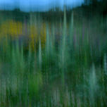 Natura thumbnail 2