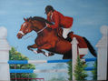 equitacion