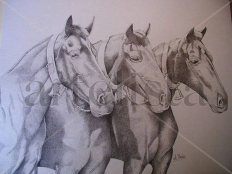 Caballos