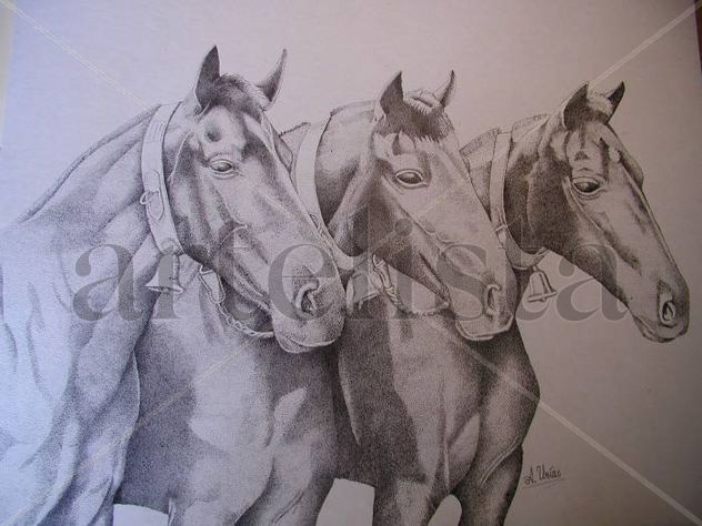 caballos