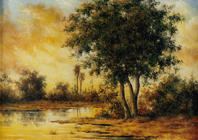 Atardecer  Calido  1 Oil Canvas Landscaping