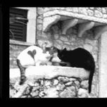 PANXULINA thumbnail 1