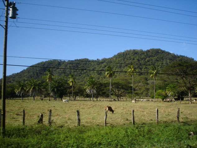 Llanura cotidiana 