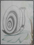 Caracol con antena "paranoica".