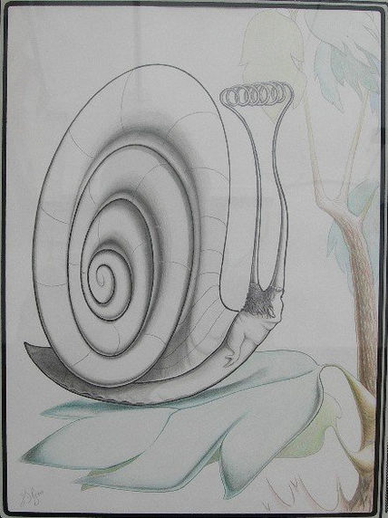 Caracol con antena...