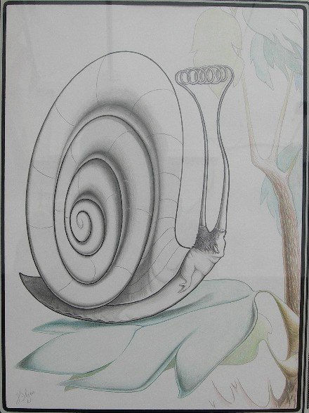 Caracol con antena...