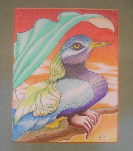 Pájaro manazas
