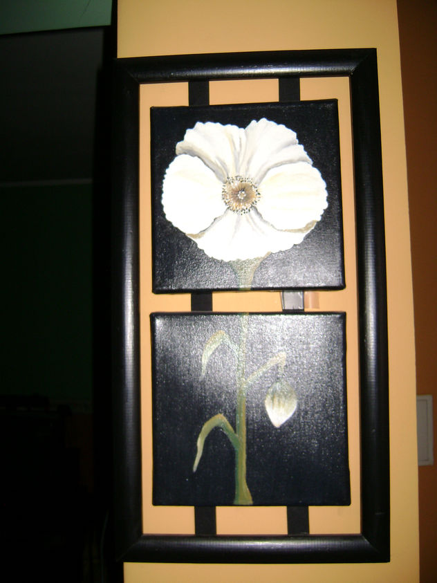 la amapola