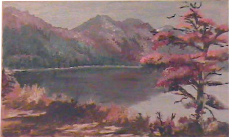 patagonia